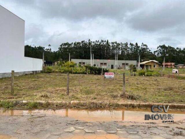 #1288 - Terreno para Venda em Itajaí - SC - 1