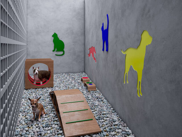 Apartamento para Venda em São Judas - 11