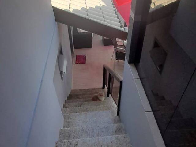 Casa para Venda em Cordeiros - 20