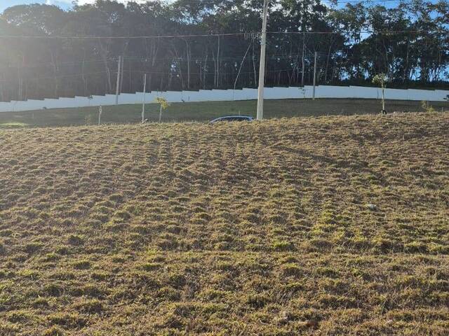 Área para Venda em Rio do Meio - 6