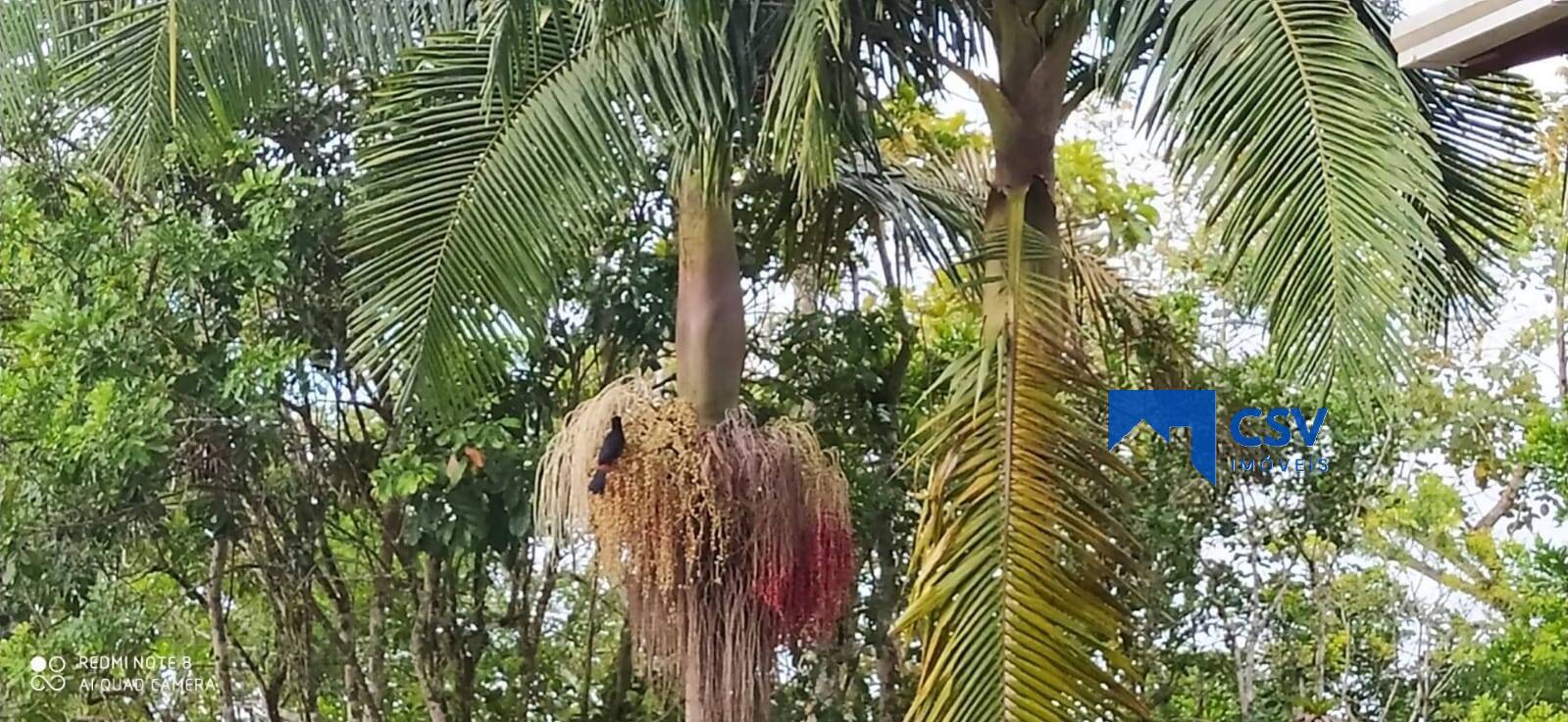 Chácara para Venda em Itajaí - 28